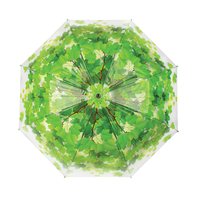 Paraguas Transparente Copa de Arbol